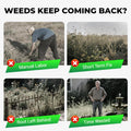 Cyclosinone Herbicide Granules | BUY 1 GET 1 FREE | Clear Unwanted plants easily